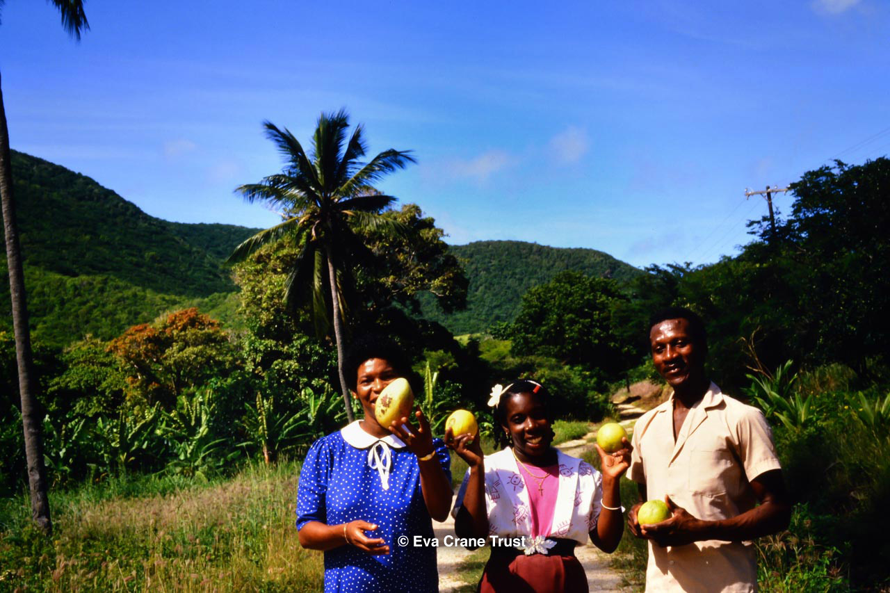 Antigua and Barbuda