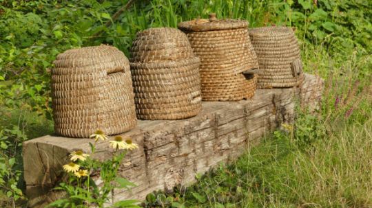 Row of skeps_istockphoto-1286645516-612x612.jpg